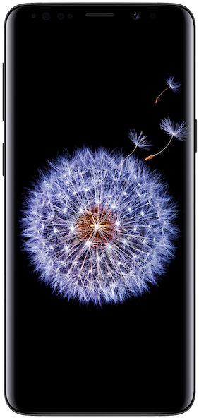 Samsung Galaxy S9 - Samsung S9 (305x600), Png Download