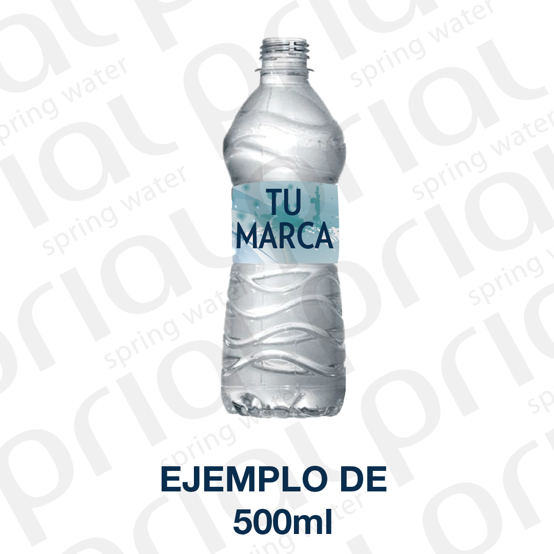 Ejemplo De 500ml Www - Water Bottle (1080x1080), Png Download