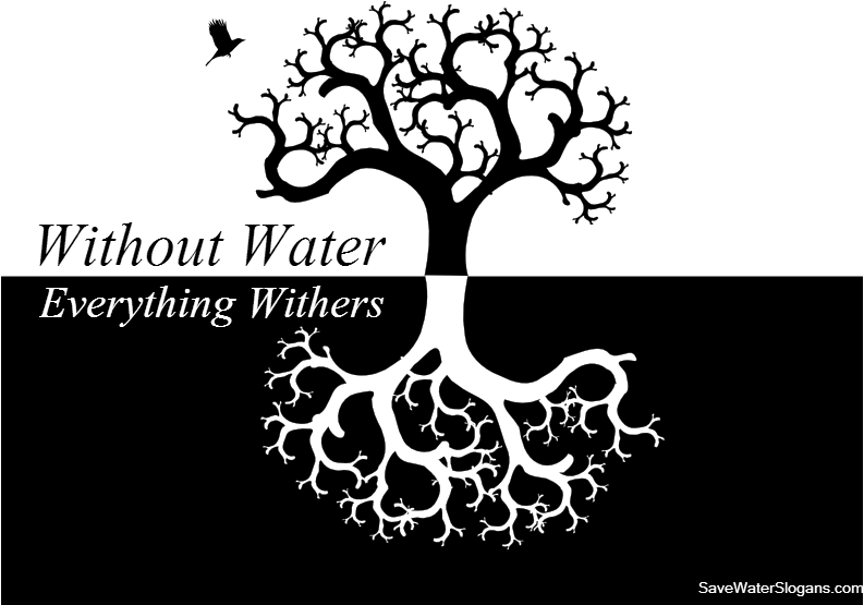 Save Water Slogans Save Water Slogans, Drawing Classes, - Water Saving Slogans Images Black And White (800x600), Png Download