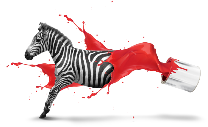 Creative-design Zebra - Creative Design (960x460), Png Download