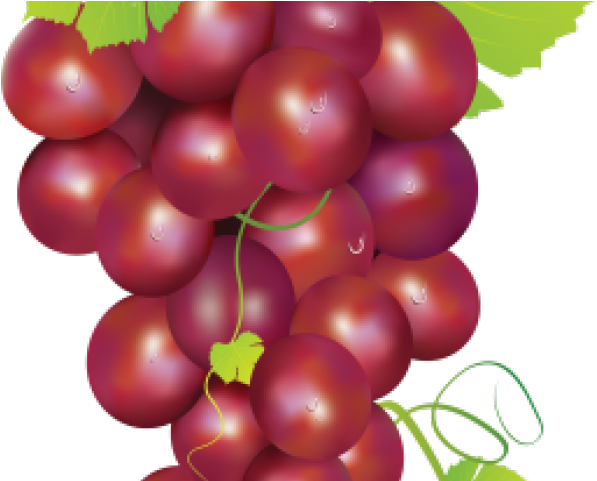 Grapes Clipart Two - Grape (640x480), Png Download