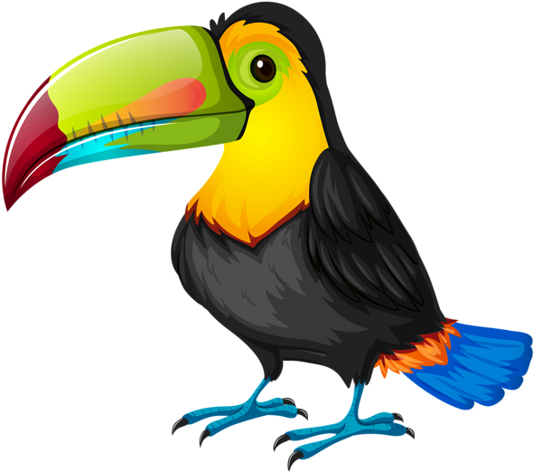Jpg Freeuse Download Png Transparent Image Clip Art - Toucan Cartoon (600x533), Png Download
