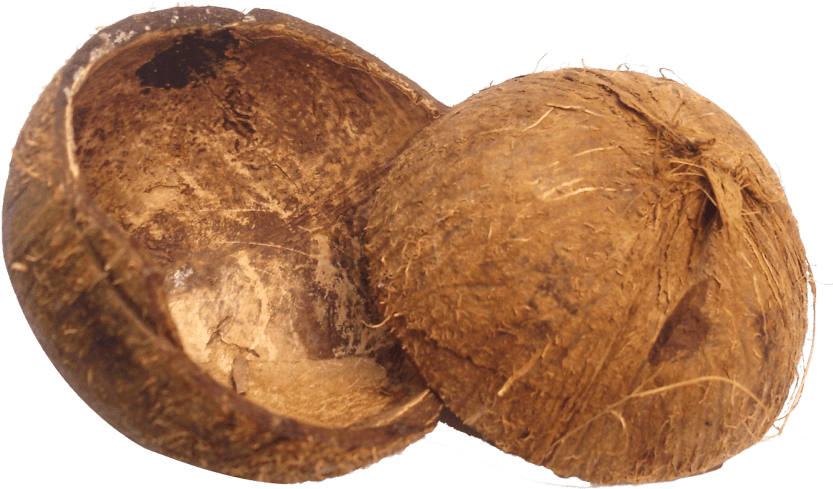 Free Png Coconut Shell Png Images Transparent - Coconut Png (850x520), Png Download