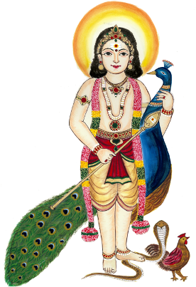 Thai Pusam Thai Pusam, Hanuman Jayanthi - Lord Murugan Png (300x434), Png Download