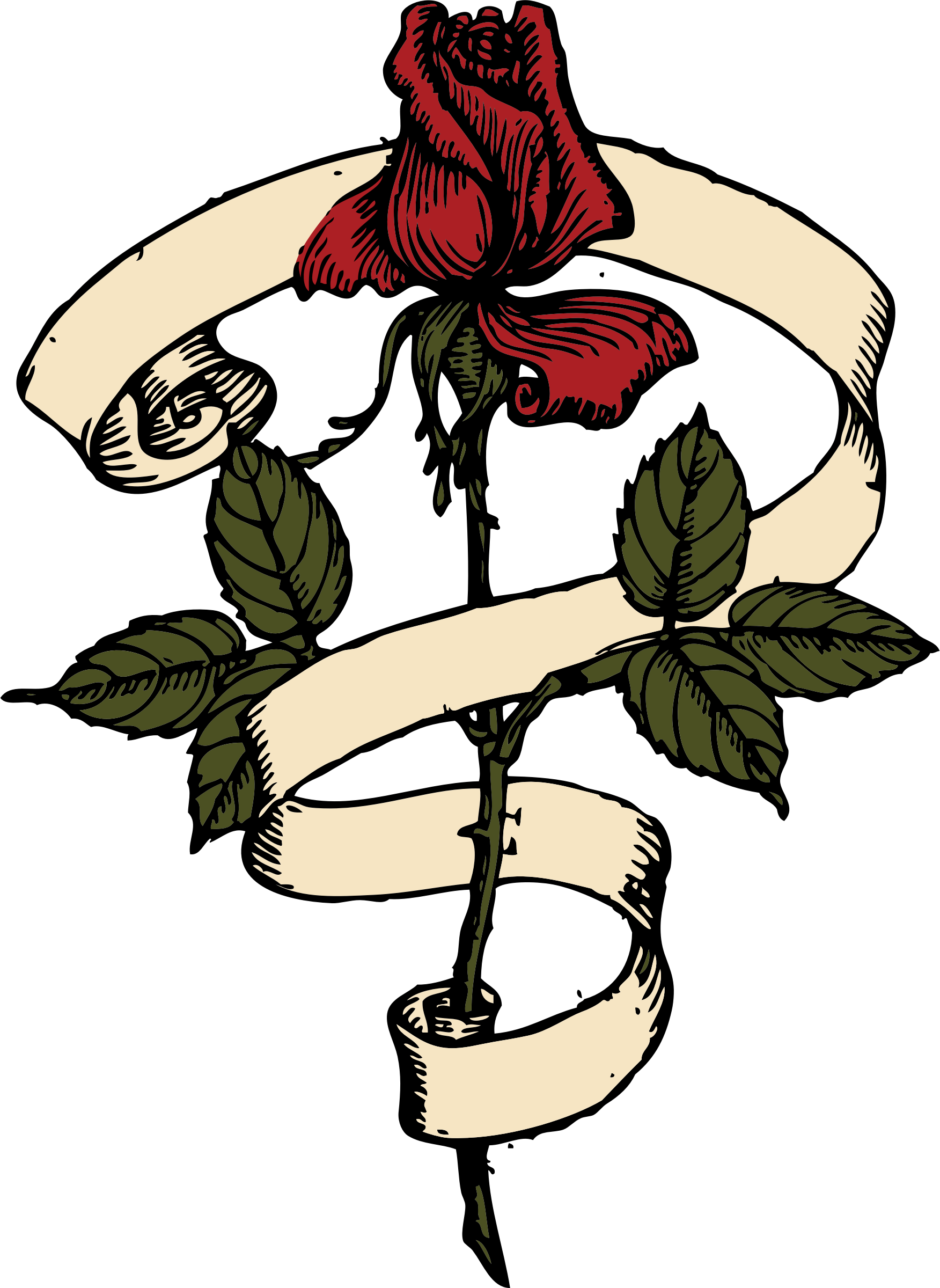 Rose Scroll Icons Png - Rose Scroll (1752x2400), Png Download