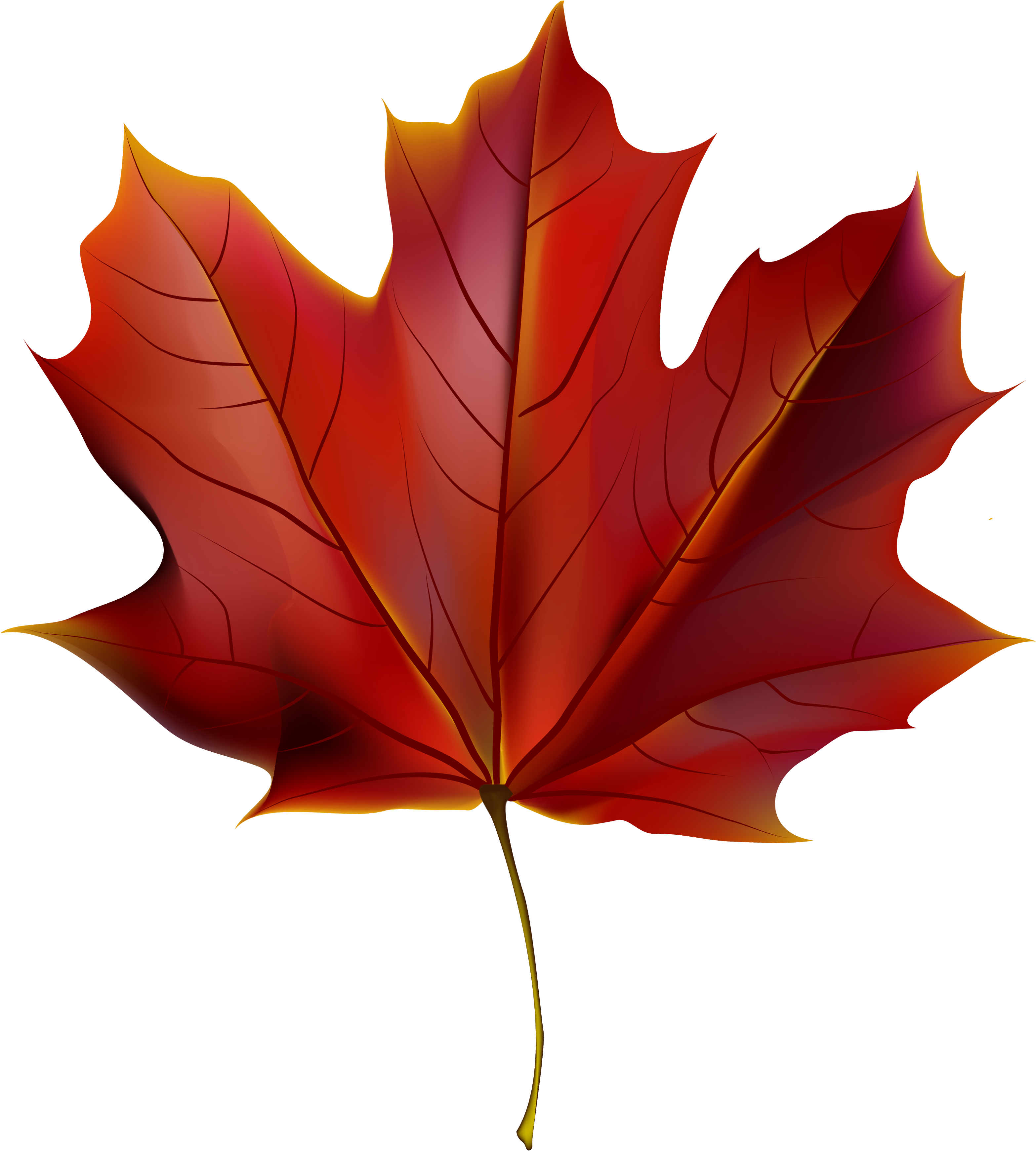 Beautiful Red Autumn Leaf Png Clipart Image - Red Autumn Leaf Png (3281x3592), Png Download
