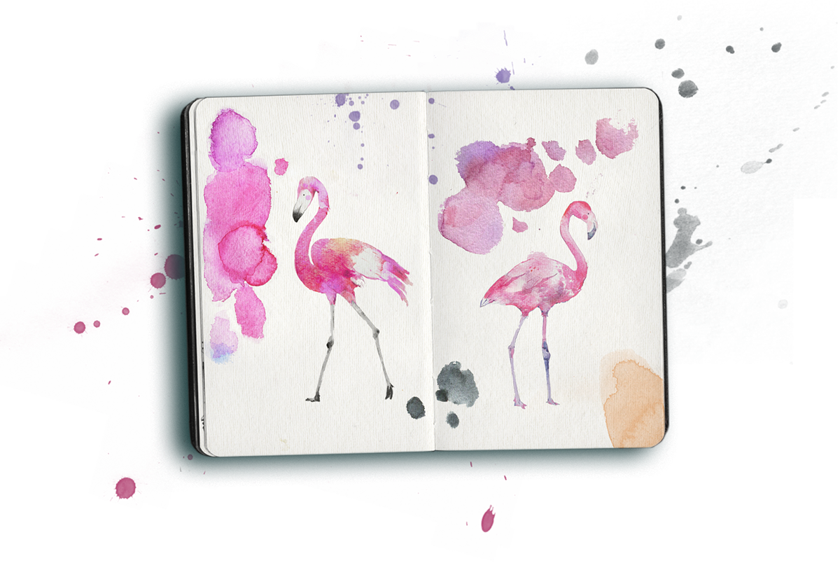 Work In Progress / Search / Real Products - Greater Flamingo (1200x804), Png Download