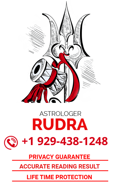 Indian Astrologer In Usa And Canada - Astrology (395x654), Png Download