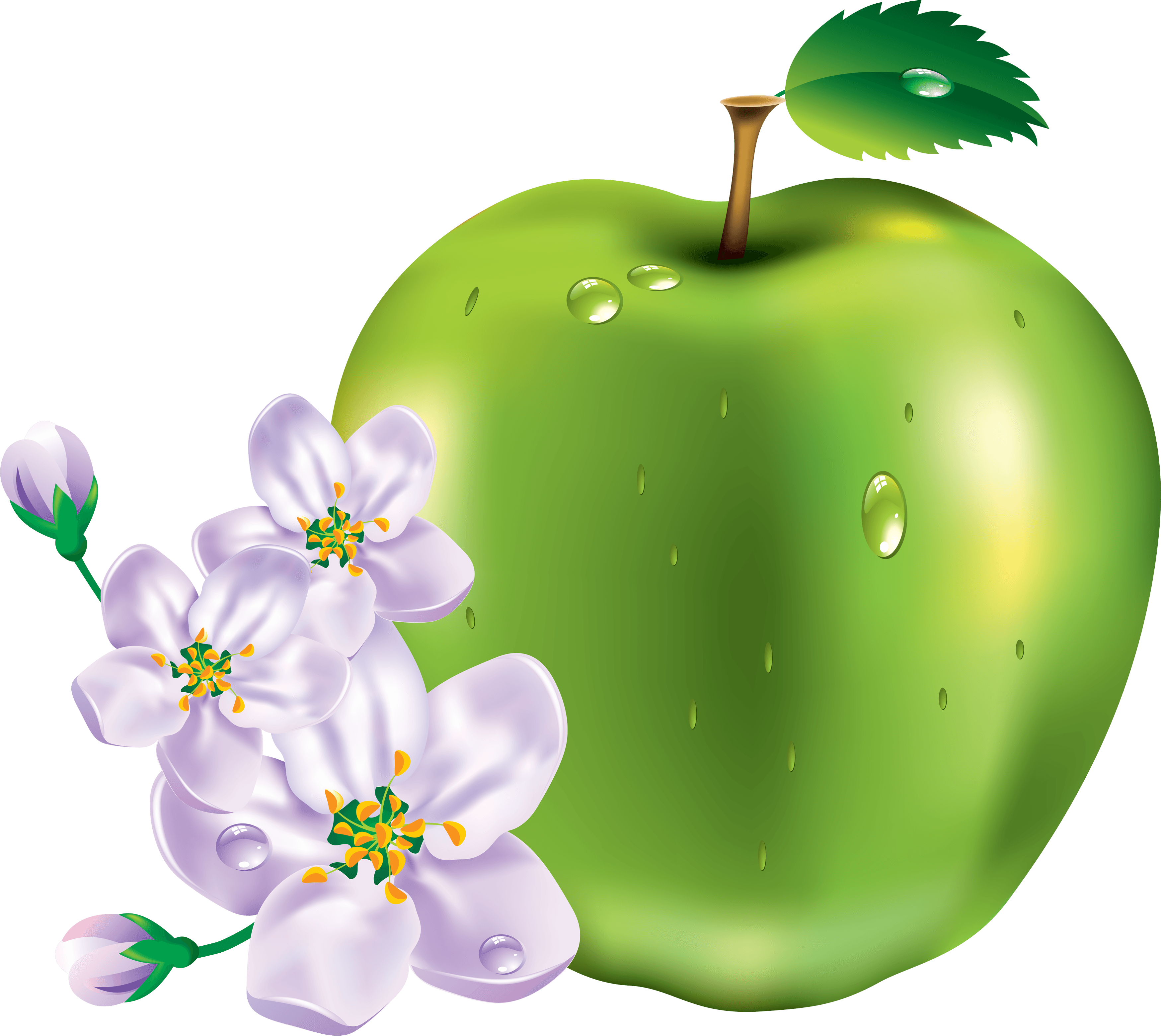 Green Apple Png Image - Green Apple With Flower Png (3498x3120), Png Download
