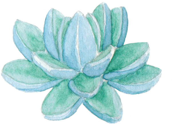 Succulent - Homeschooling (602x443), Png Download