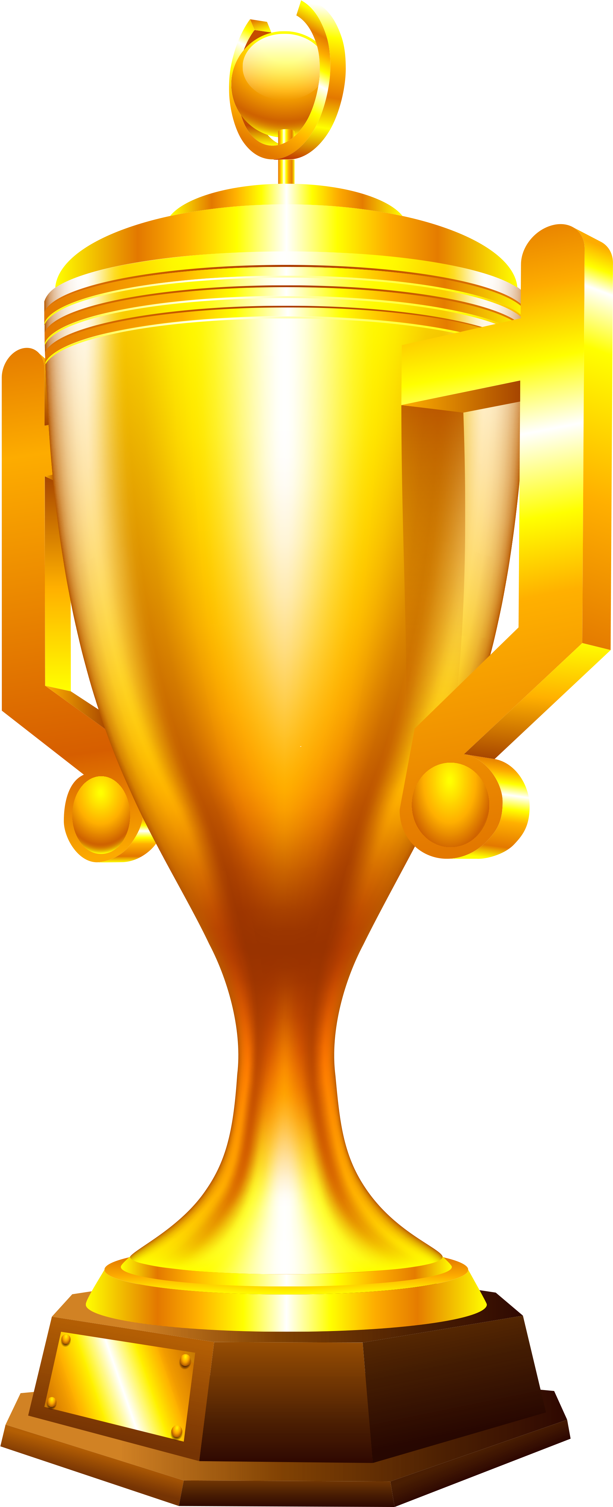 Gold Cup Trophy Png Image - Golden Football Cup Png (2879x5174), Png Download