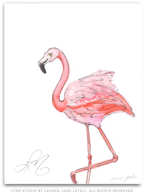 Flamingo No - Three - Greater Flamingo (492x654), Png Download
