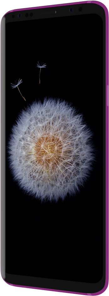 Images/s9 Purple Flower Side - Iphone (1920x1080), Png Download