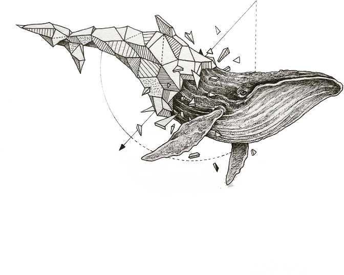 Drawing Geometry Watercolor - Kerby Rosanes Geometric Beasts (700x700), Png Download