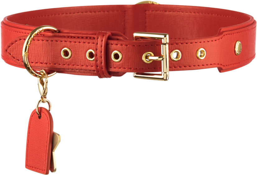 Red Dog Paw Png - Dog Collar (1024x1024), Png Download