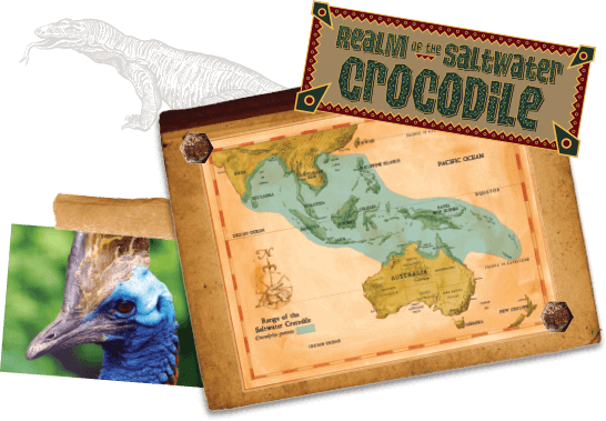 Click Above To Enlarge Our Saltwater Crocodile Range - Emu (546x379), Png Download