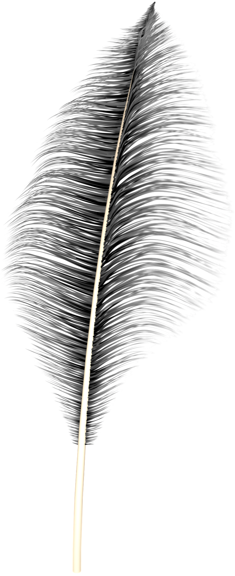 Dream Feather Png - Earrings (1024x2048), Png Download