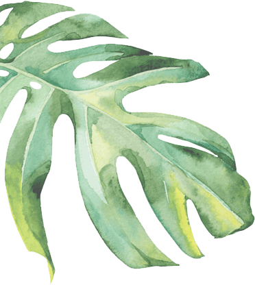 Flower - Graphite Pickleball Paddle (leaf) (372x416), Png Download