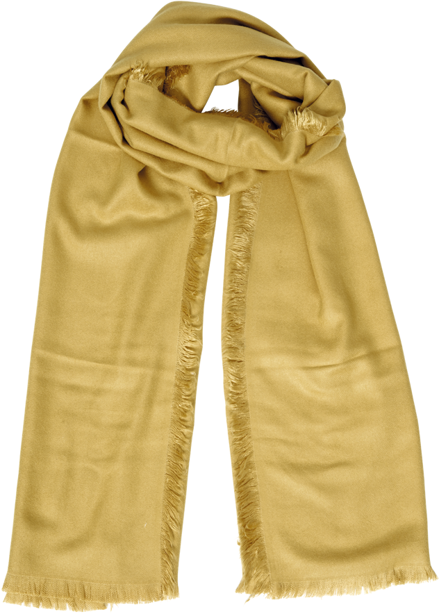 Jil Sander Women (1000x1000), Png Download