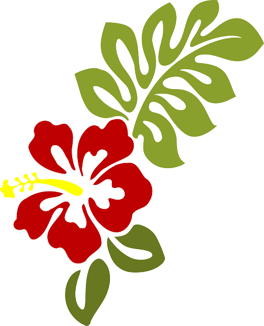 Hibiscus Clipart Moana - Hibiscus Clip Art (519x640), Png Download