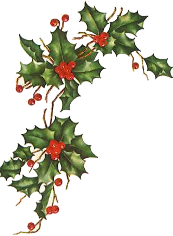 Clipart Freeuse Download Days Of Gifts From Little - Christmas Ivy Clip Art (571x818), Png Download