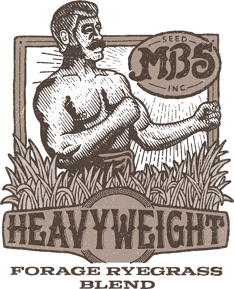 Lawn Clipart Forage - Illustration (1000x1000), Png Download