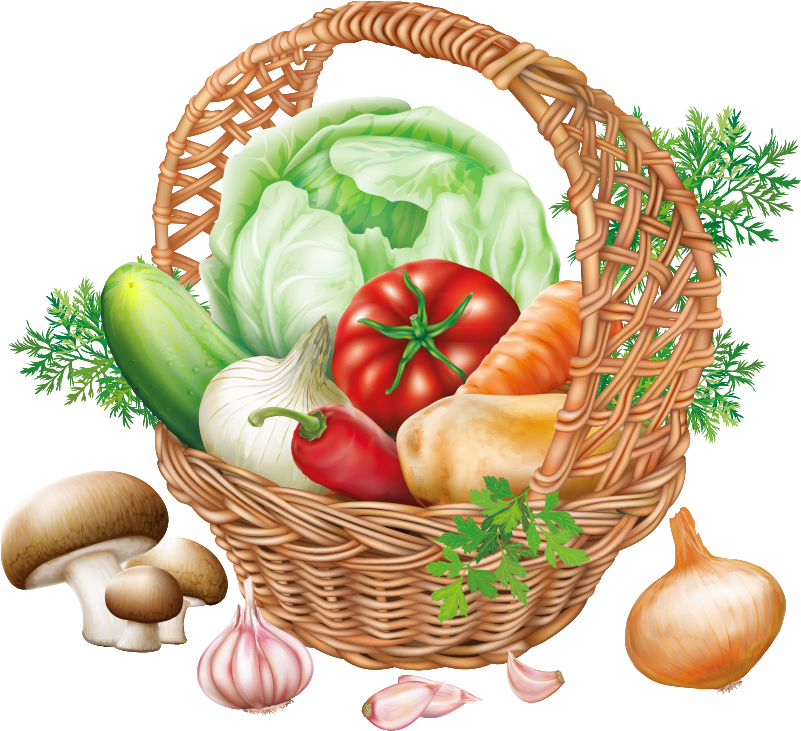 1000 - Fruits Et Légumes Dessin (600x548), Png Download