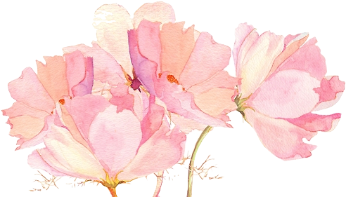 << Self Rp Woohoo>> - Pink Watercolor Flower Png (500x304), Png Download