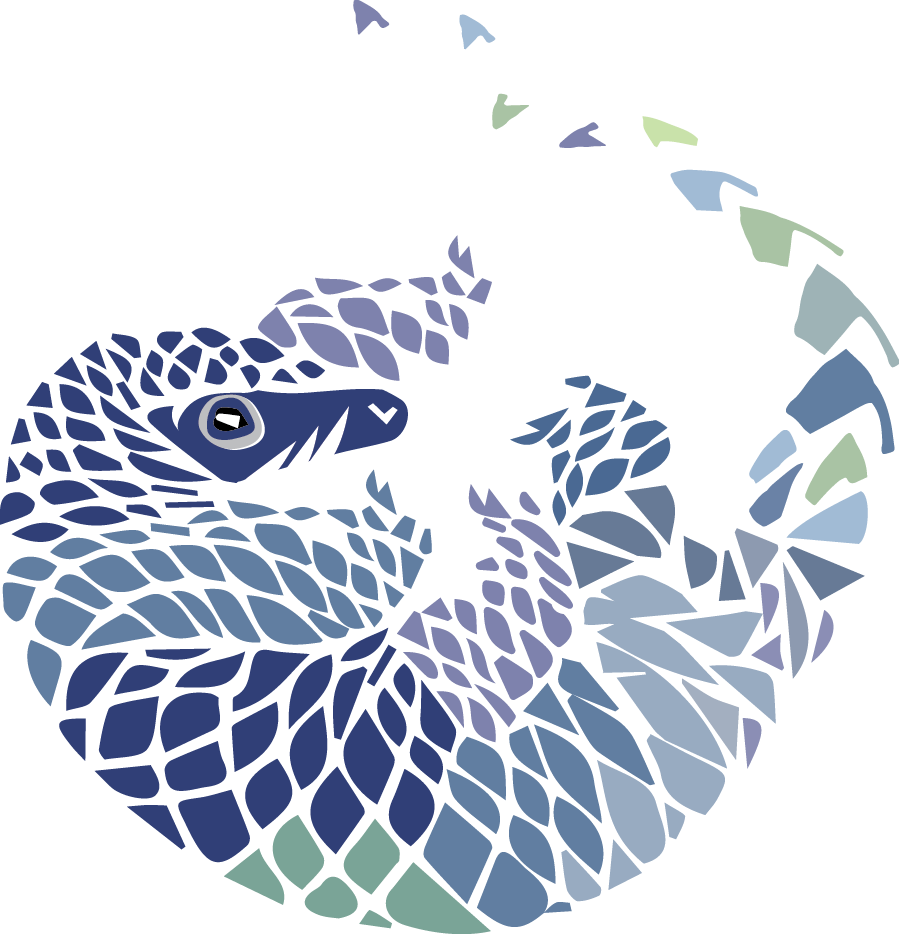 Pangolin Revised 2 - Illustration (899x934), Png Download