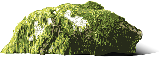 Rock, Stone, Moos, Moss - Portable Network Graphics (640x320), Png Download