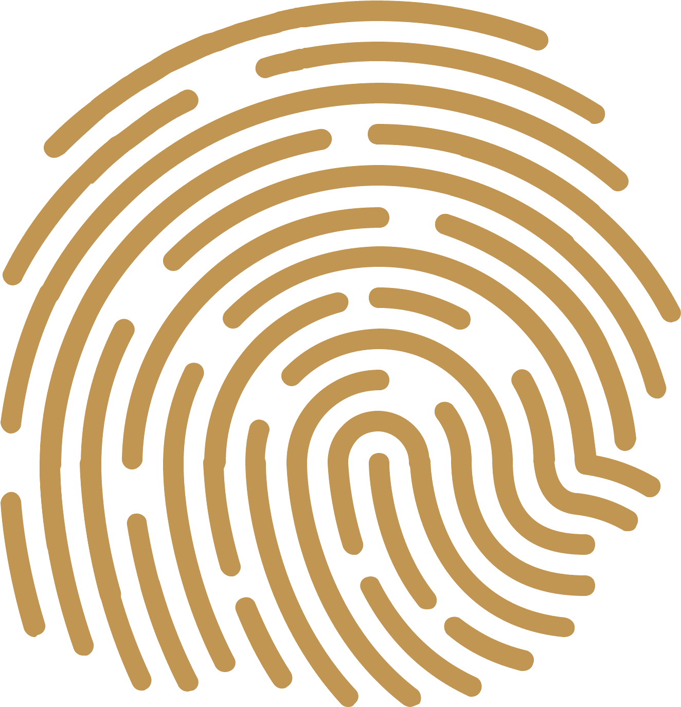 Linie Papilarne Icon - Fingerprints With No Background (1600x1600), Png Download