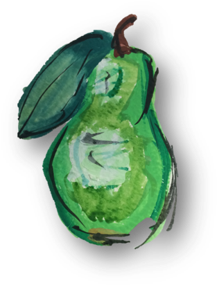 This Was A Primary Illustration Of A Pear Using Water - Fruit (492x623), Png Download