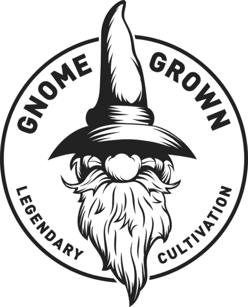 Gnome Drawing Fairy - World Traditional Shotokan Karate Federation (485x600), Png Download