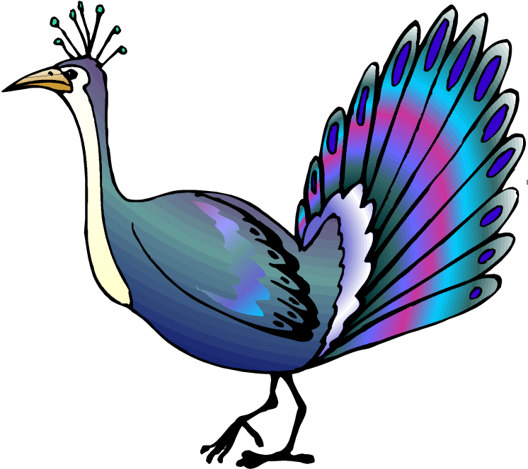 Download Free Printable Clipart And Coloring Pages - Colorful Peacock Large Wall Clock (750x671), Png Download