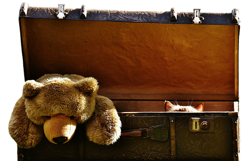 Luggage, Antique, Teddy, Cat, Hidden - Suitcase (508x340), Png Download