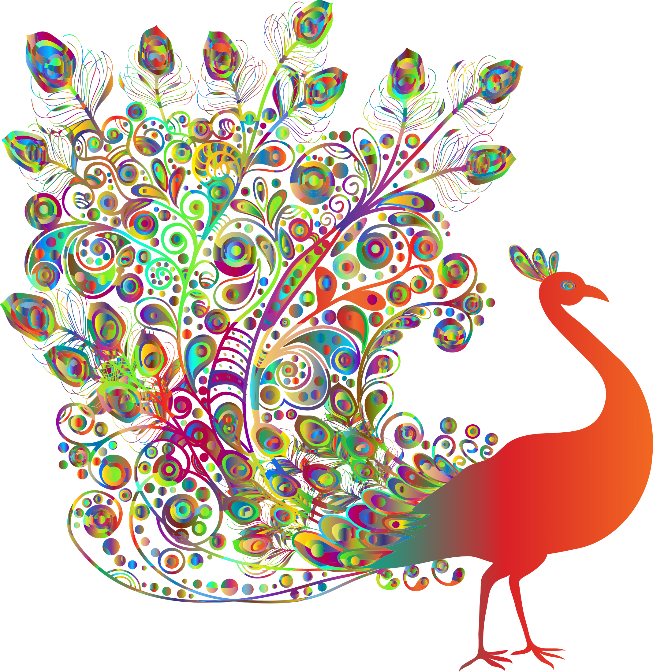 Big Image - Beautiful Peacock (2134x2198), Png Download