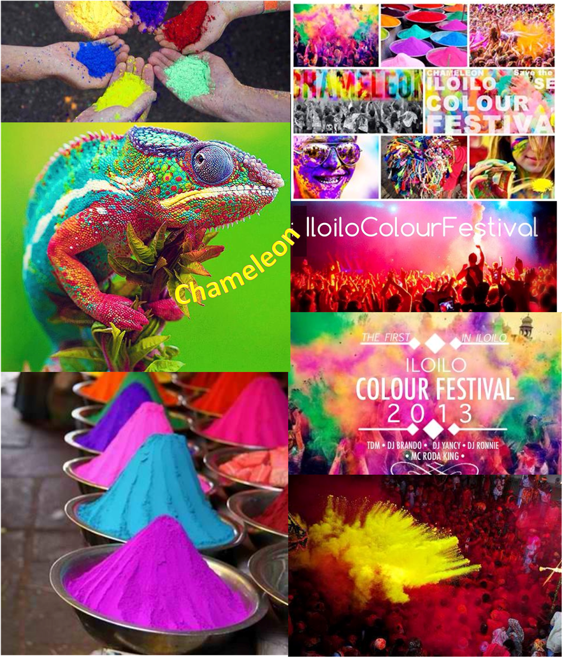 Chameleon Iloilo Festival Of Colors Will Be The First - Chameleon Beautiful Nature Animal 24x18 Print Poster (1338x1600), Png Download