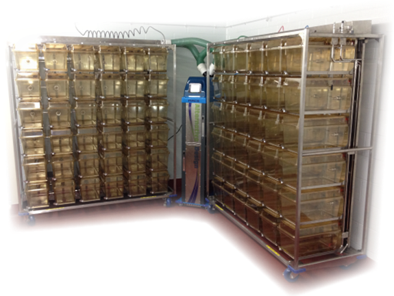 Multiple Frames With Tower Ahu - Tower (575x432), Png Download