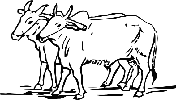 Election Symbol Two Oxen - Do Bailon Ki Katha (637x480), Png Download