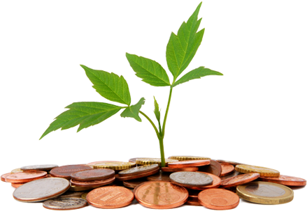 Not So Easy Home Loan - Loan Png (439x303), Png Download