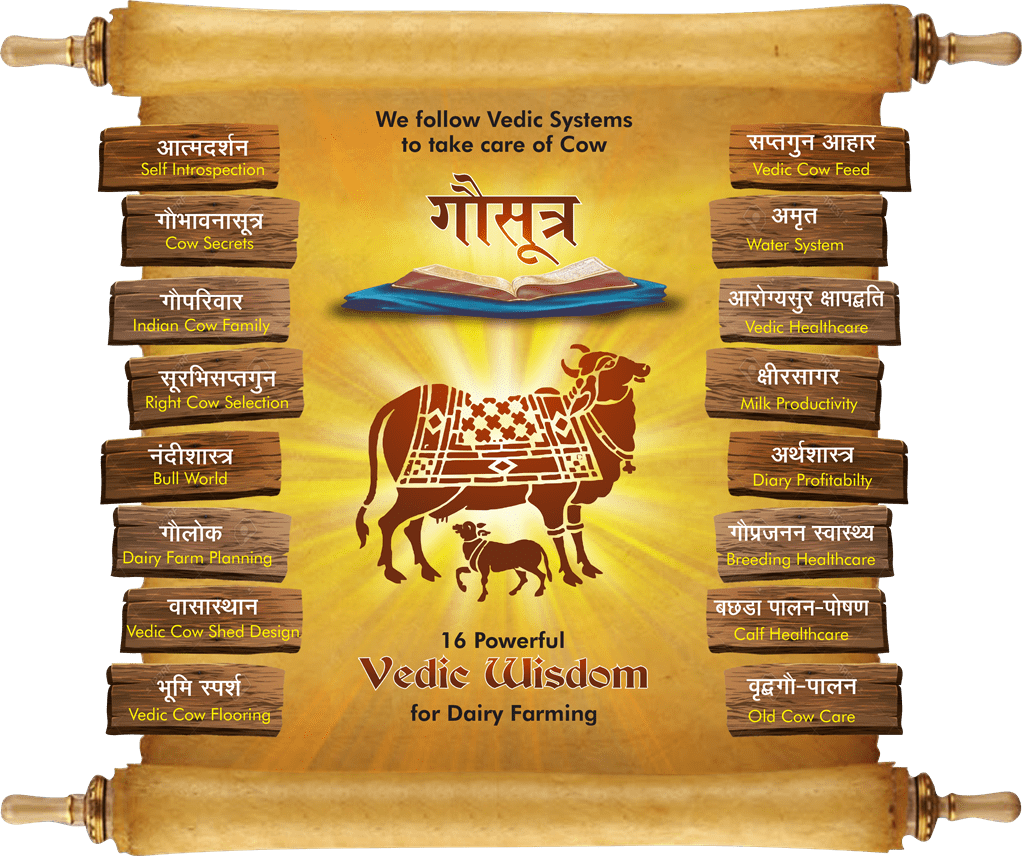 Now Many Of Cow Lovers Like You & Me, Though Being - Banner (1022x856), Png Download