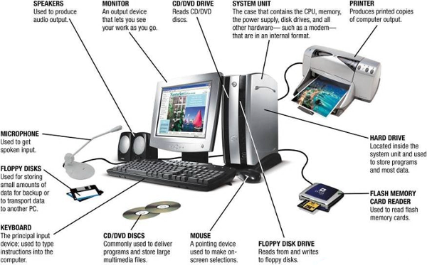 Input Device - Computer All Parts Name (600x373), Png Download