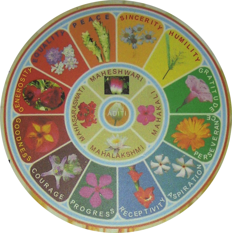 Ashokbhatia - Sri Maa And Sri Aurobindo (807x813), Png Download