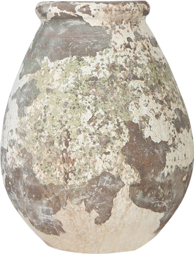 Vase (750x750), Png Download