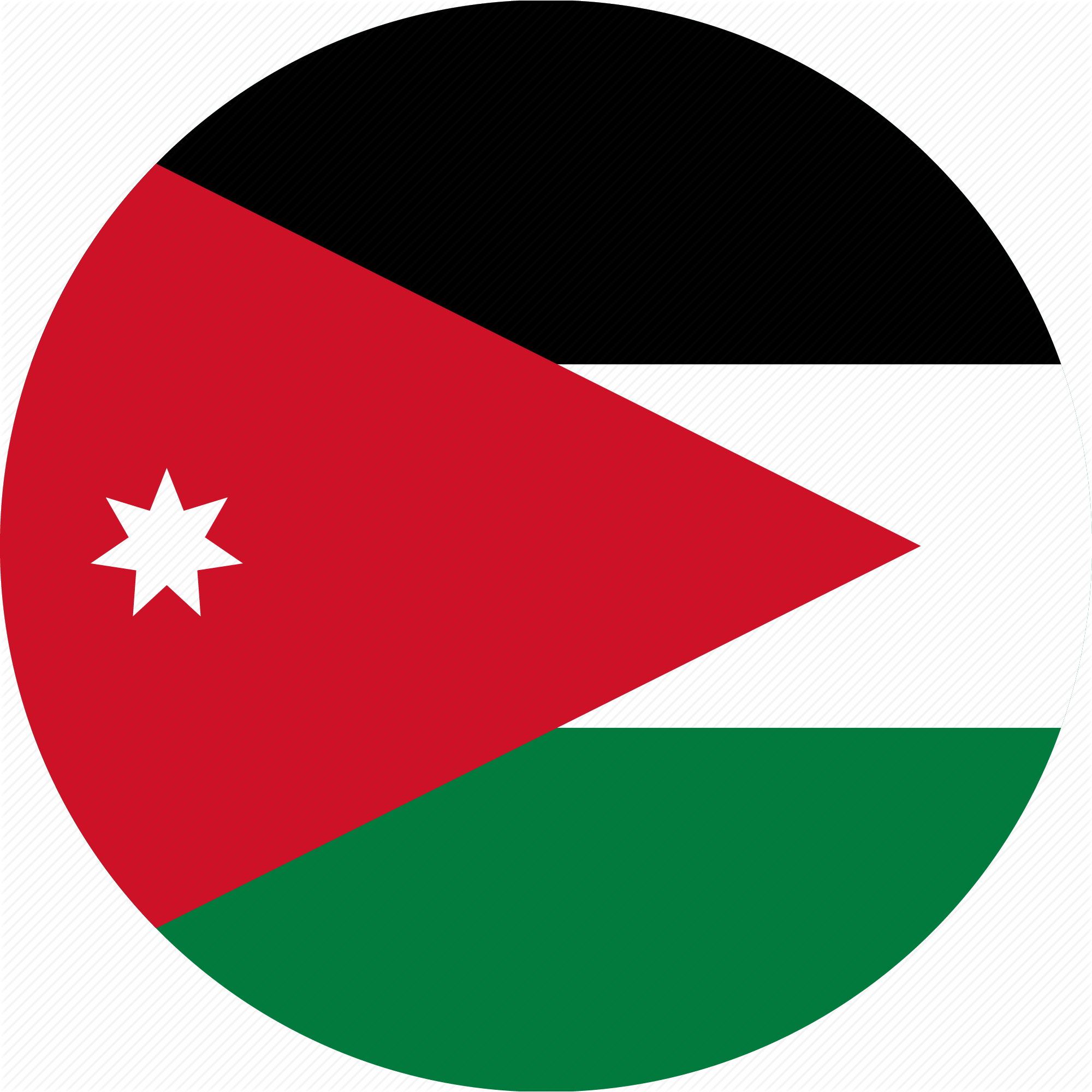Download Flags With More Than One Star Clipart Flag - Jordan Flag Icon (900x900), Png Download