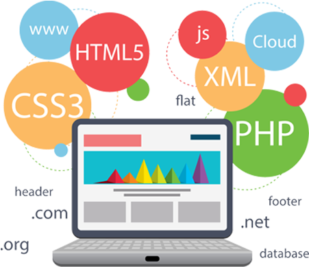 Web Designing - Web Development Roadmap For Beginners (500x500), Png Download