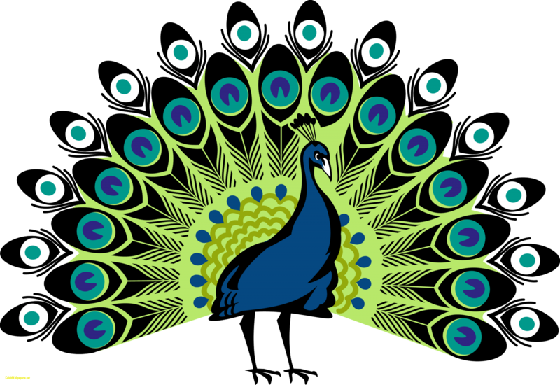 Vector Free Library Peacock Images Free Download Pictures - Simple Colorful Peacock Drawing (450x300), Png Download