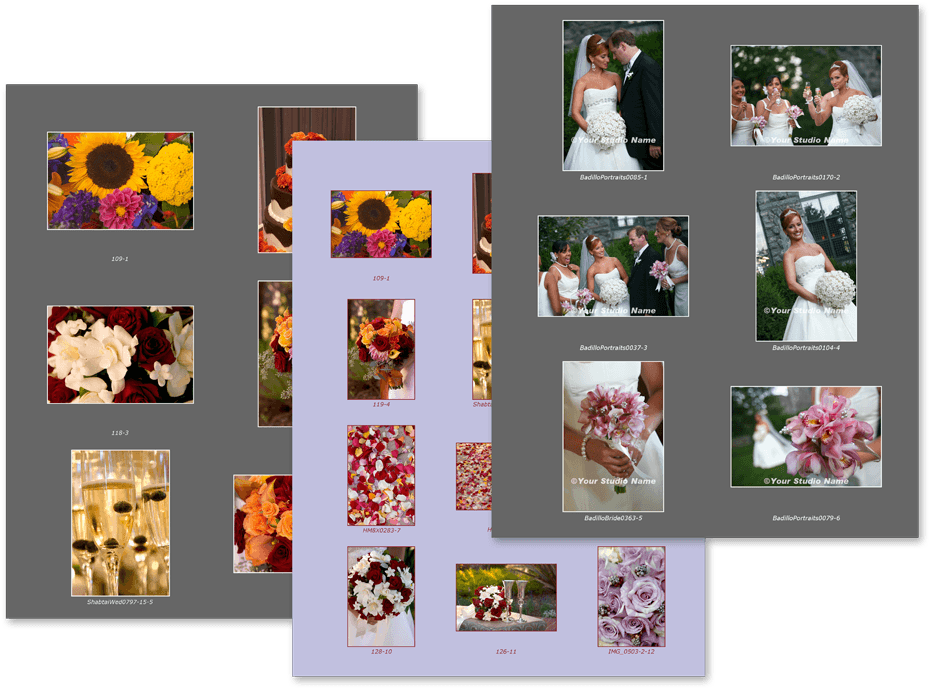 Proof Book Magazine Pages - Collage (950x687), Png Download