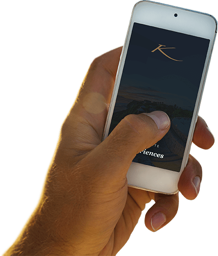 Iphone (442x519), Png Download