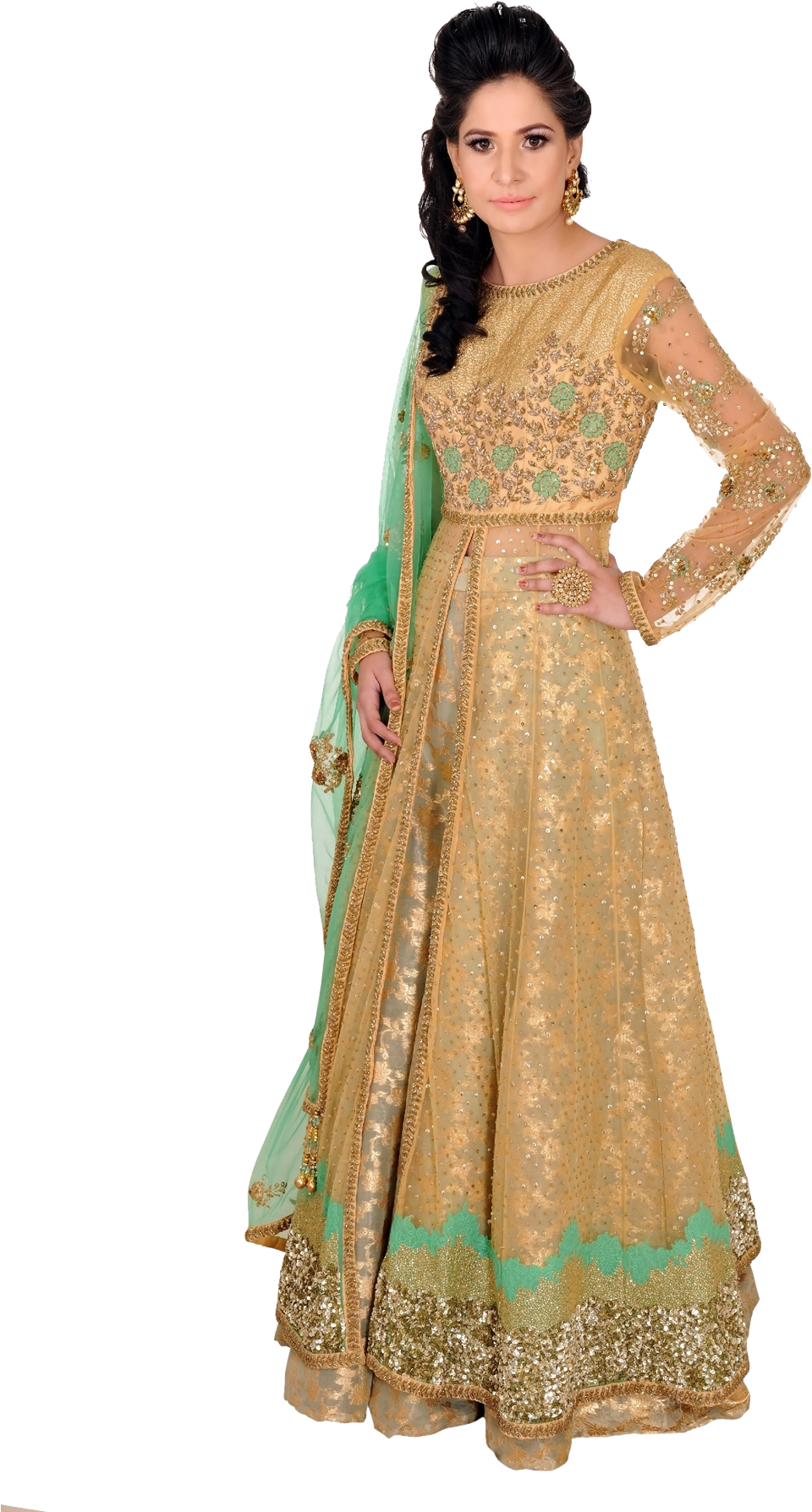 Lehenga (1320x1980), Png Download